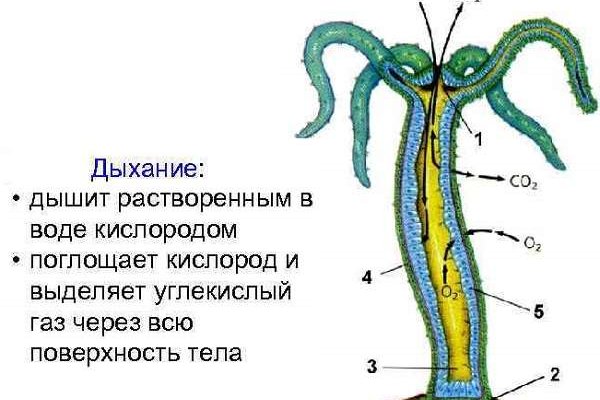 Мега омг ссылки